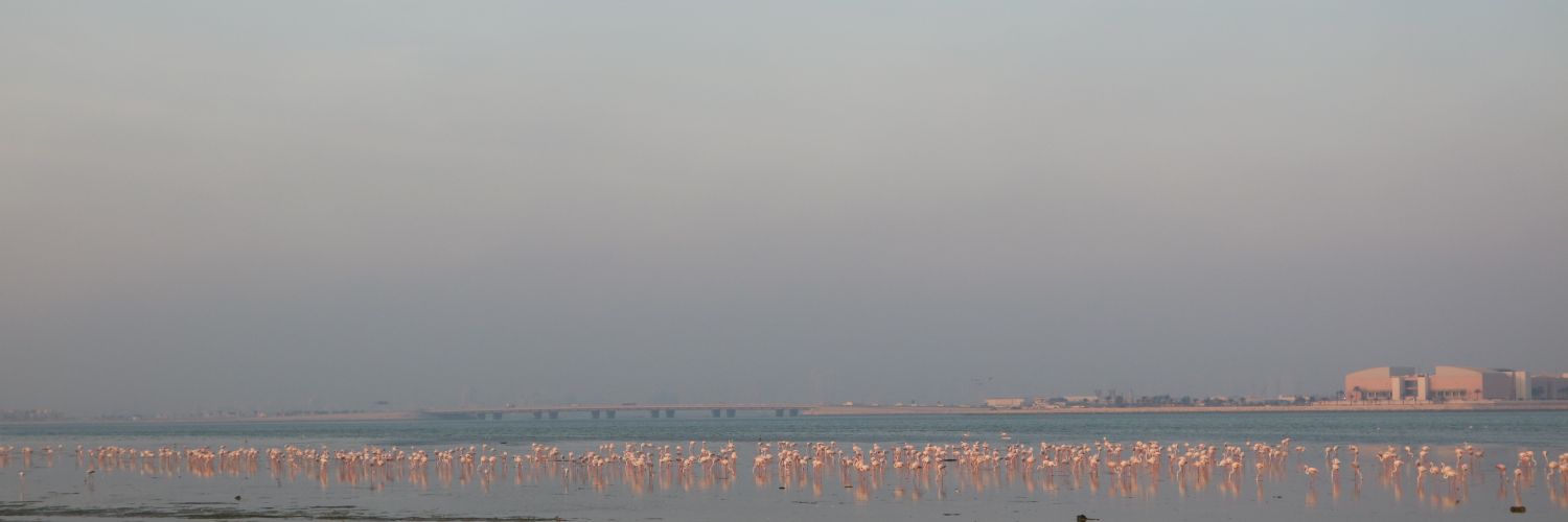 9ktb's profile banner image