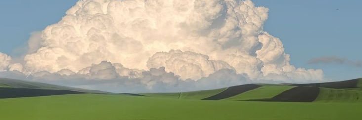 huihuiSoda's profile banner image
