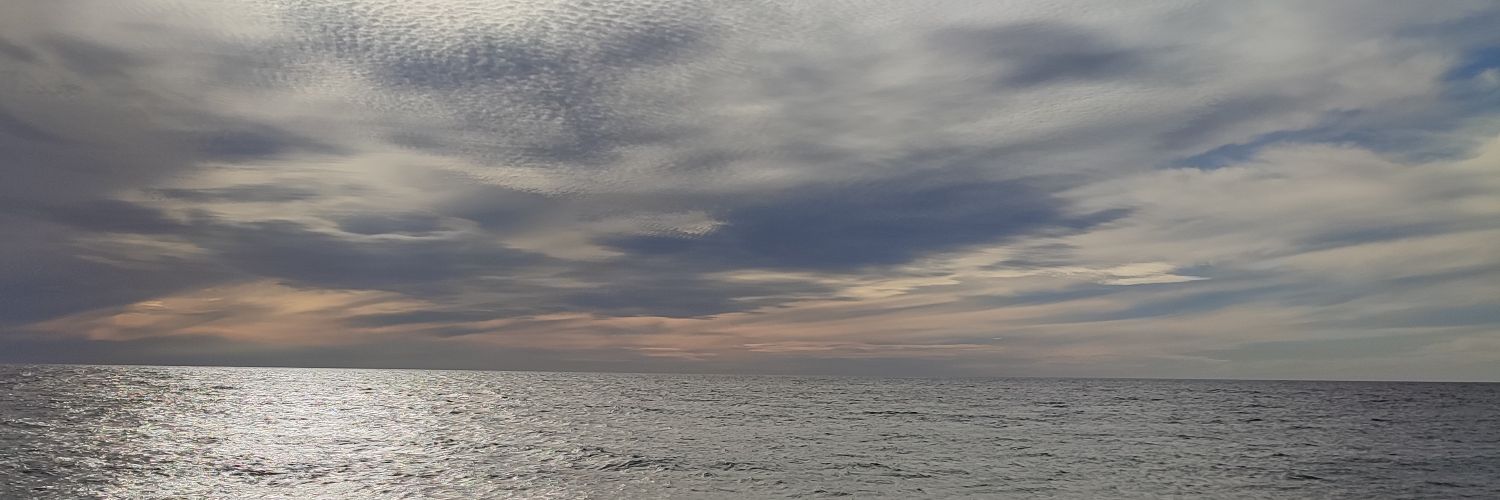 Pattofalu's profile banner image