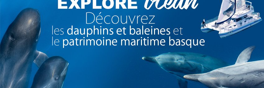 Explore_Ocean's profile banner image