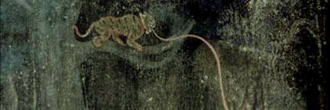 jurídico laura palmer banner