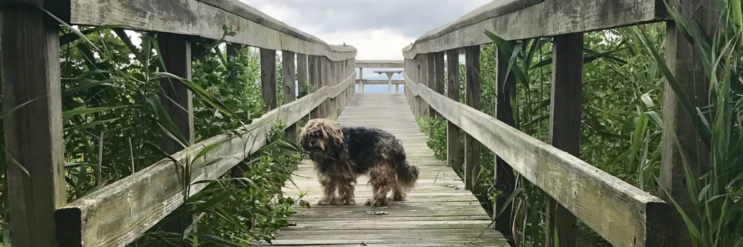 Stephany ♡ ☭ ♂ banner