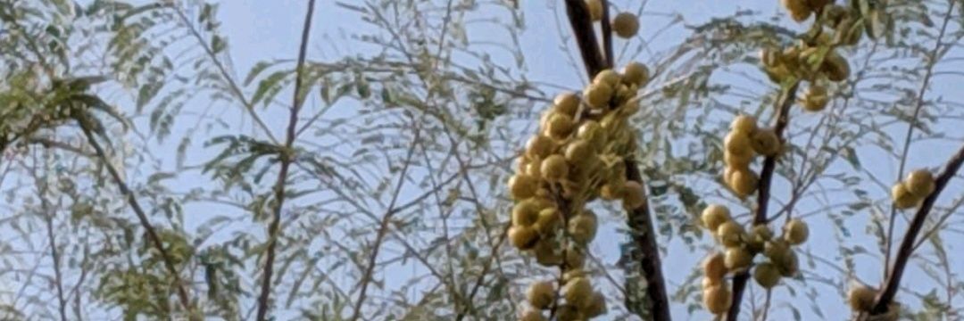 Eternal Truth banner