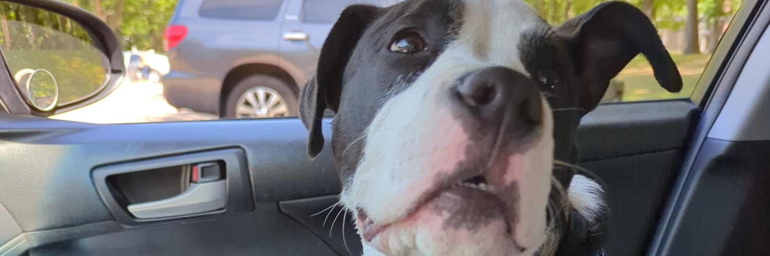 Tiara Sweetee (sweet tea☕) Fields banner