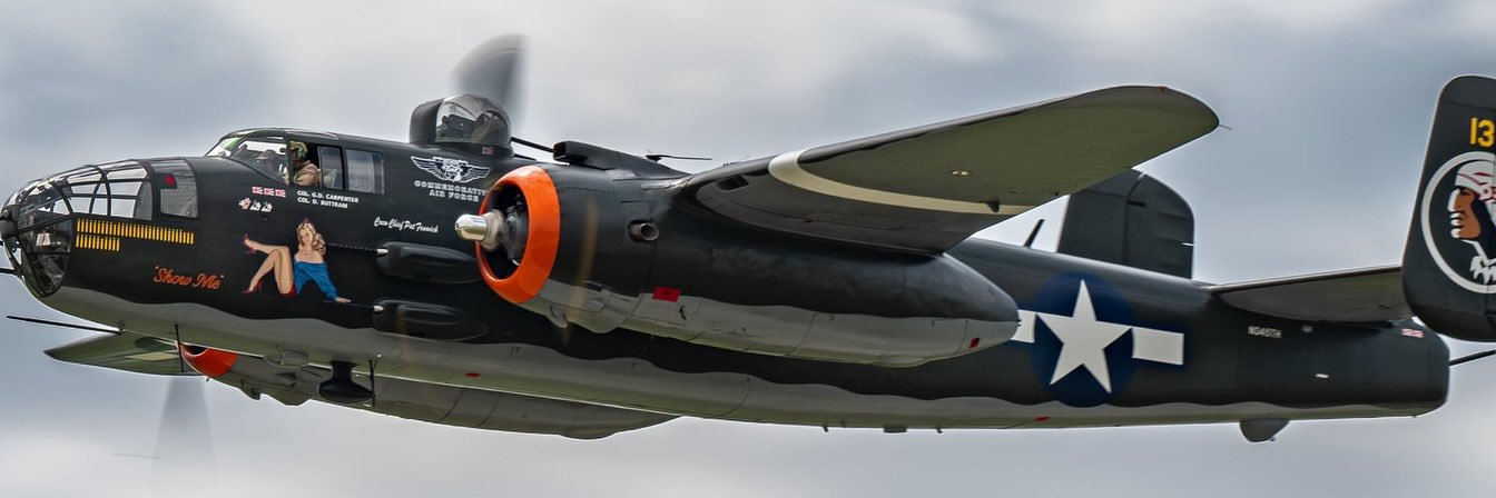 Koda the Bear 🇺🇦 banner