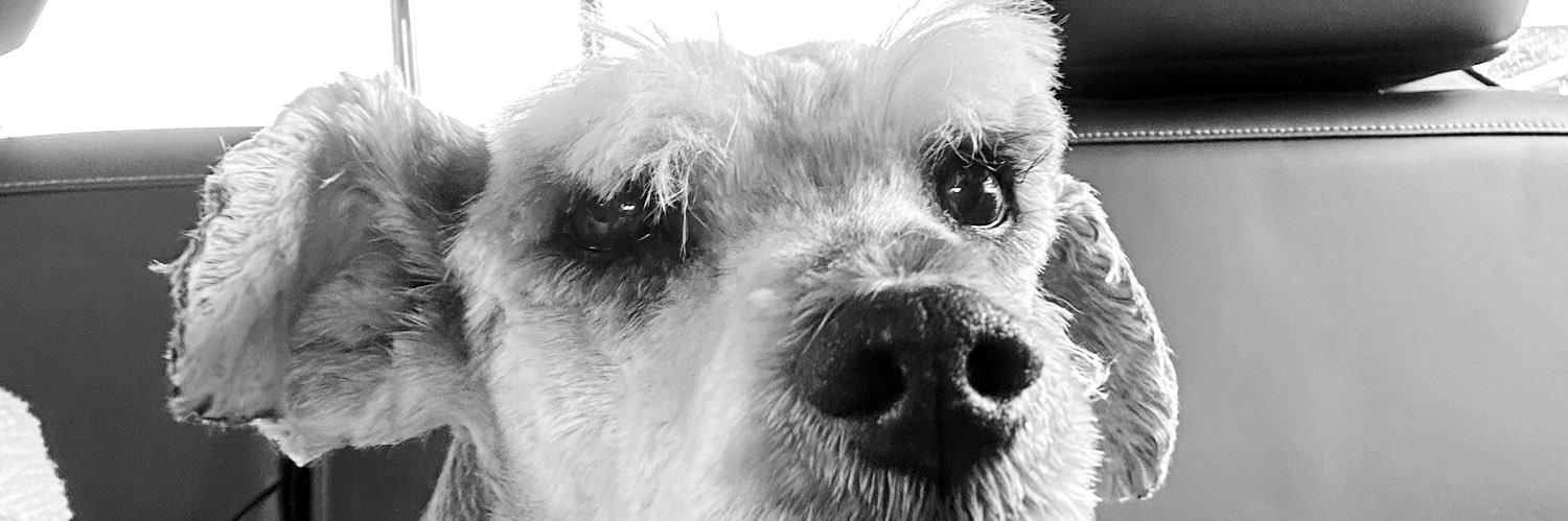 samangonzza's profile banner image