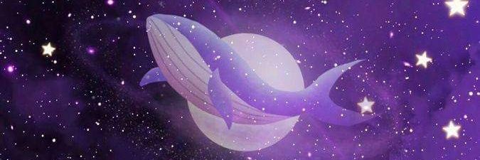 Laurarom041's profile banner image