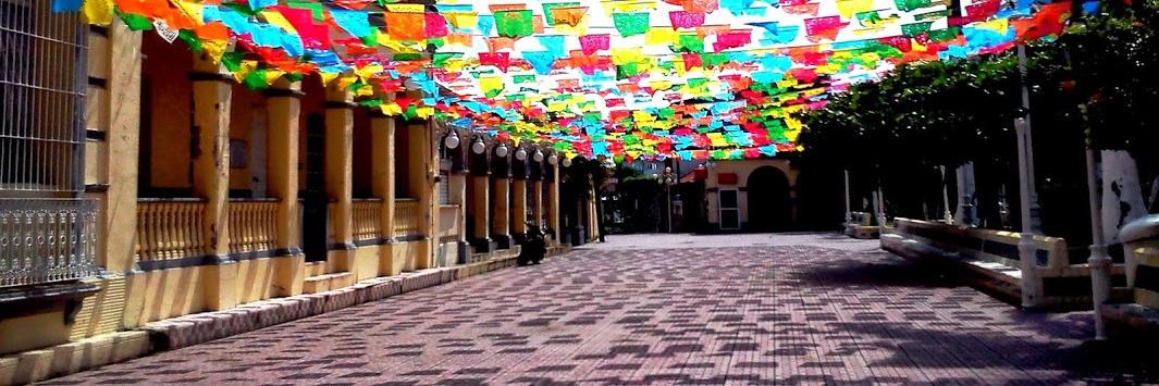 Víctor M. Toriz banner