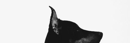 บห🧡 banner