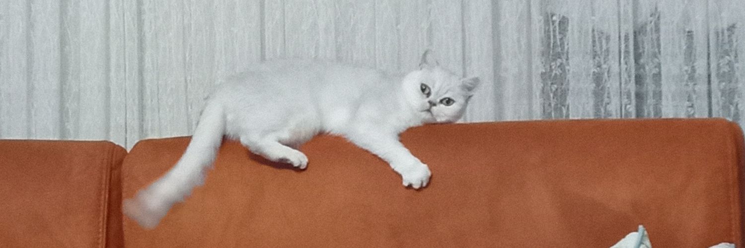 erayumit's profile banner image