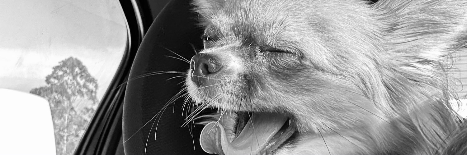 nickschae's profile banner image