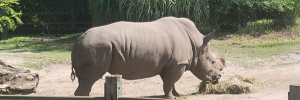 DavidHuzzard Profile Banner