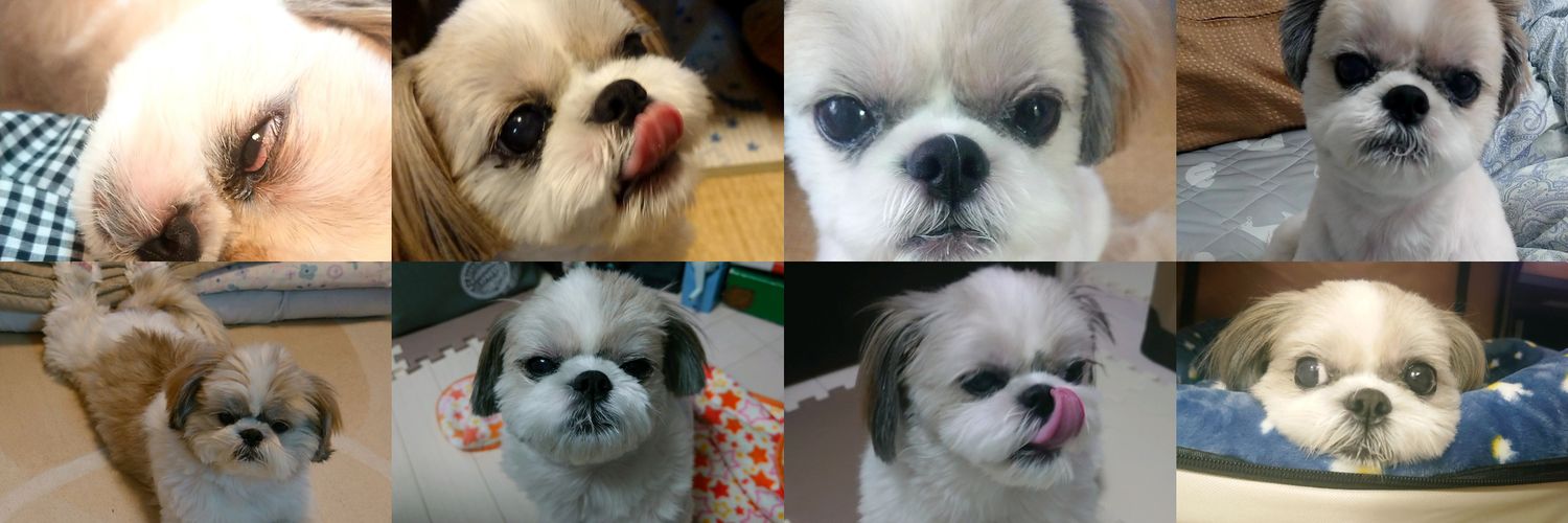 _6NNTN's profile banner image