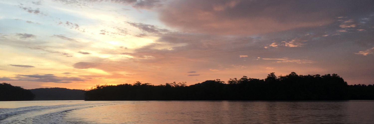 danielsierrala's profile banner image
