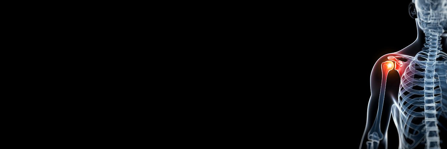 PT Products Magazine banner