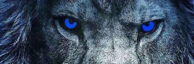 jaystine33's profile banner image