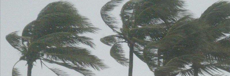 OLevantera's profile banner image