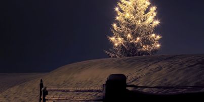 abohams's profile banner image