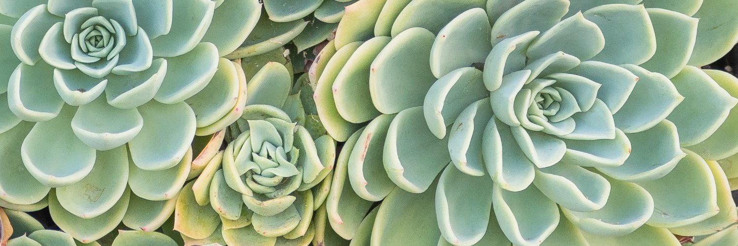 PierreLandscape's profile banner image