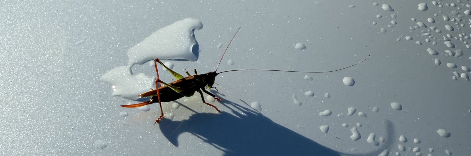 Hate Coincidences banner