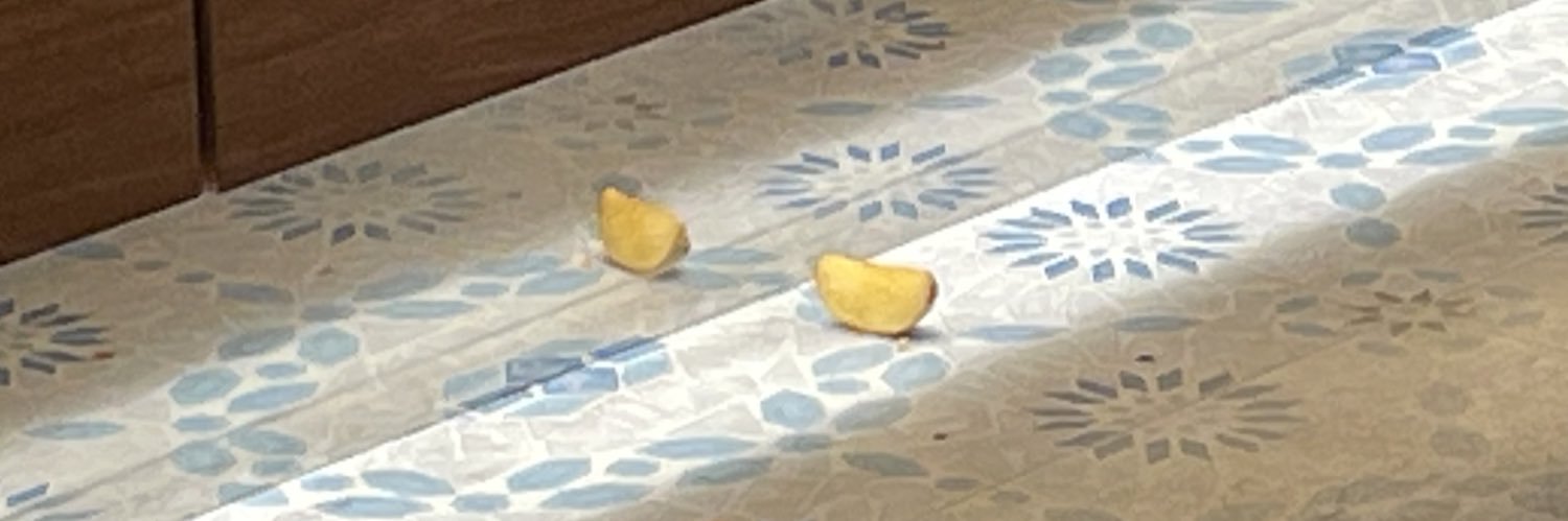 ひらやま🐣's banner