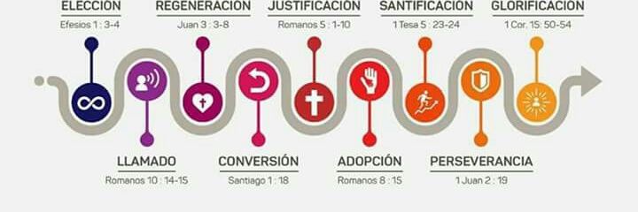 José banner