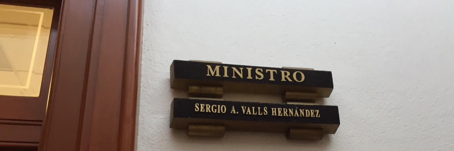 Guillermo Valls E banner