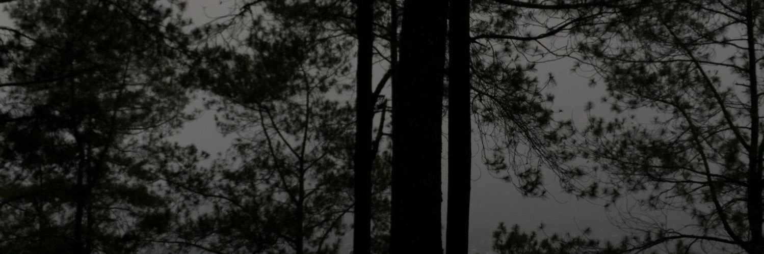 andrew_dafid's profile banner image