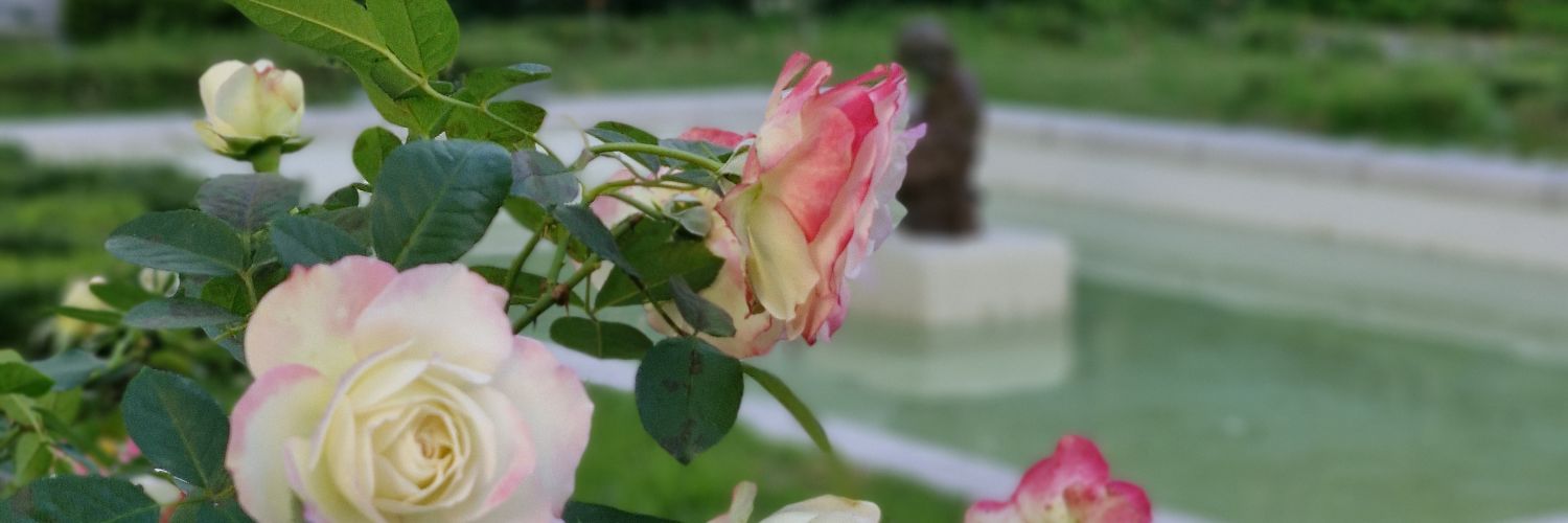 Soljosmy's profile banner image