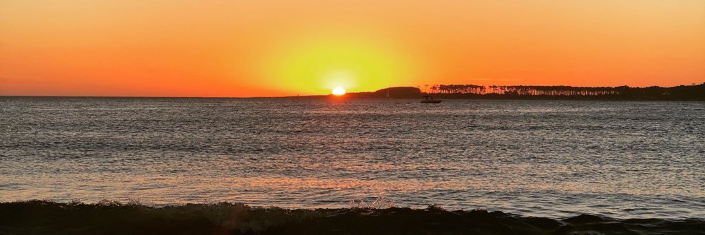 Andrea Bursten banner