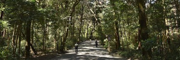 jillrshah Profile Banner