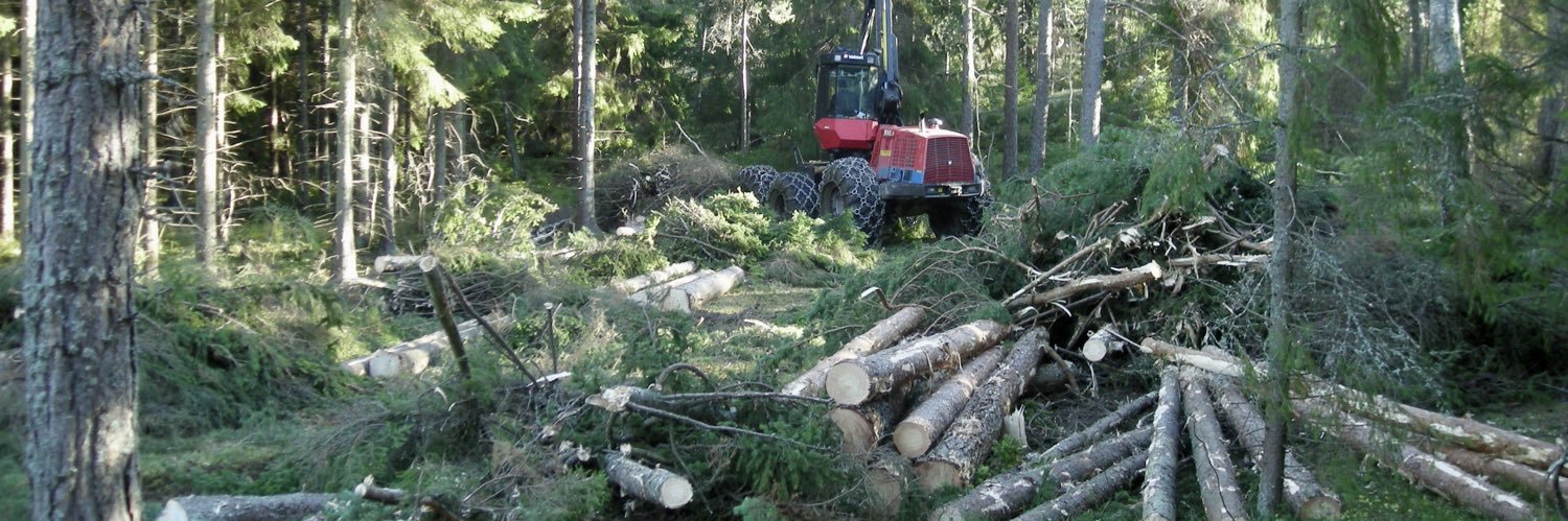 Anders Edholm 🎗️ banner