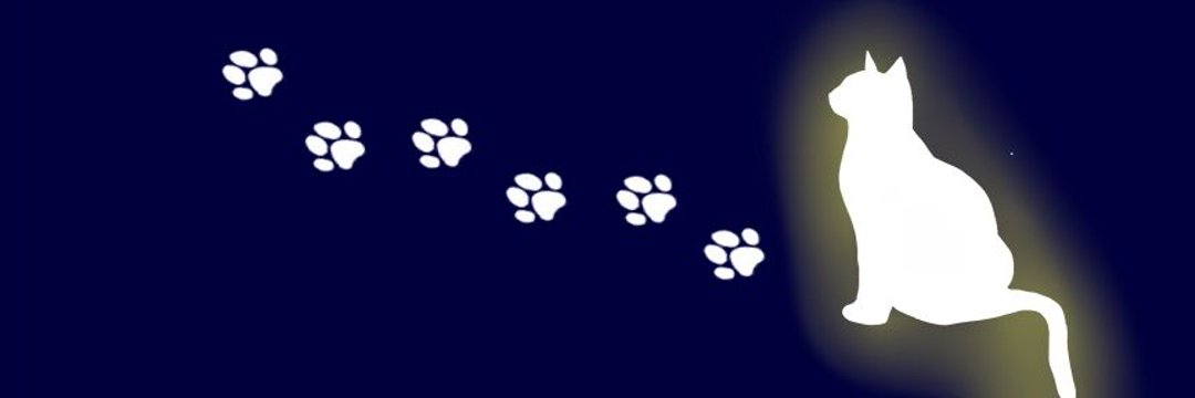 夜光猫's banner