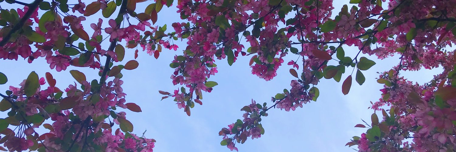 marierose425's profile banner image