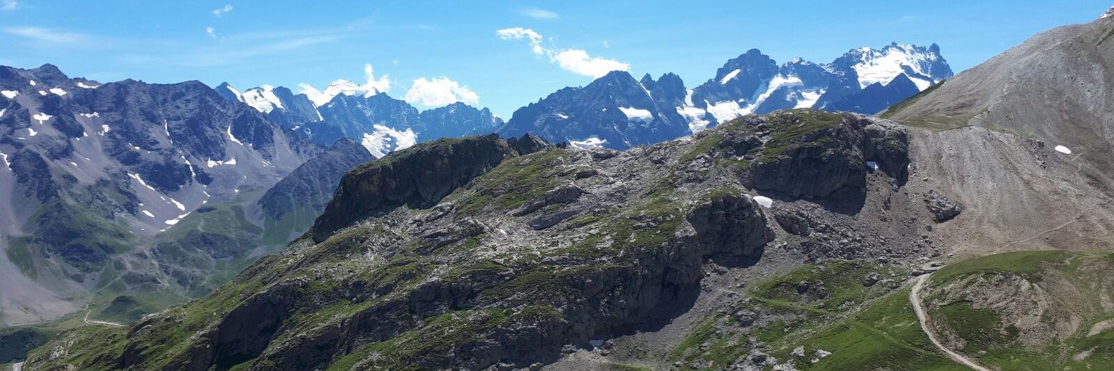 Dr. Shaun Wilkinson banner