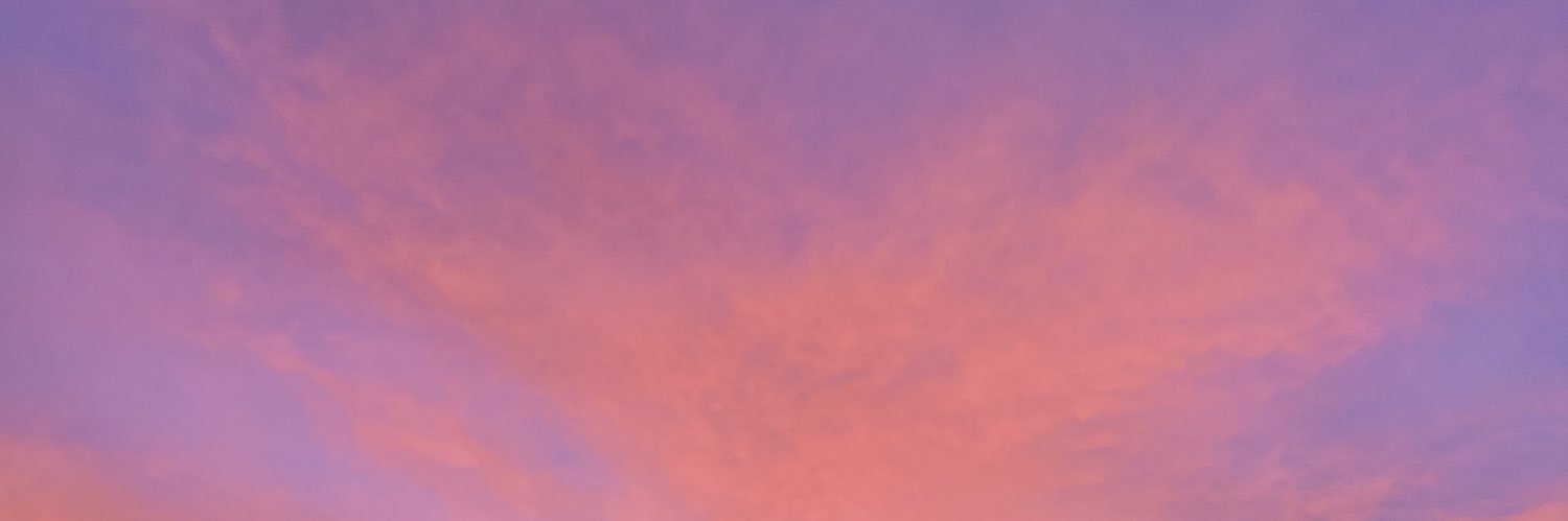Carolina Colina banner