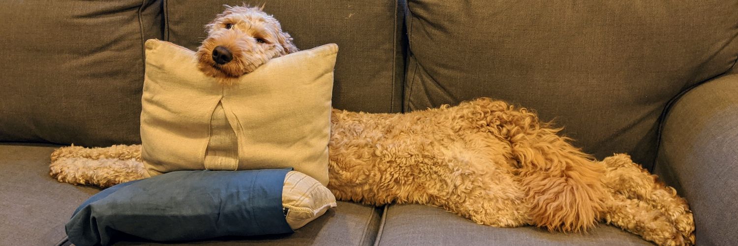 Chad Scherrer banner