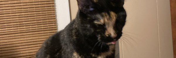 thefullnellie Profile Banner