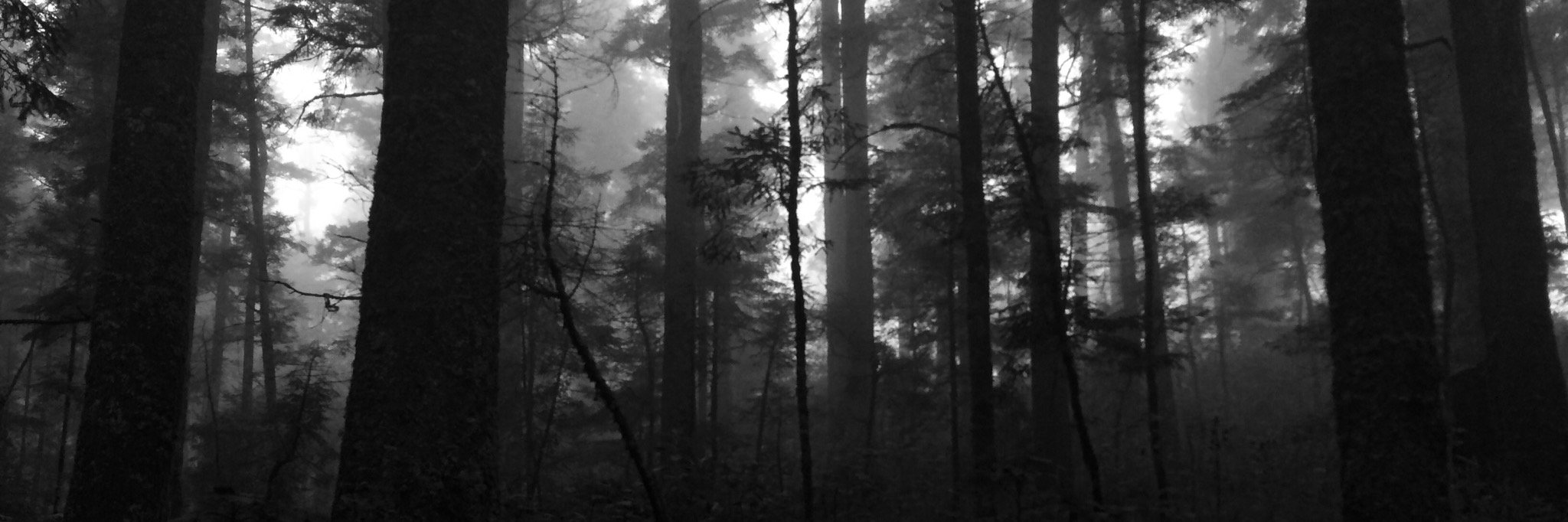 Germán Rostan banner