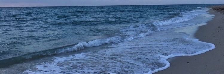 taniaadyl's profile banner image