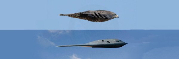 genelopes1 Profile Banner