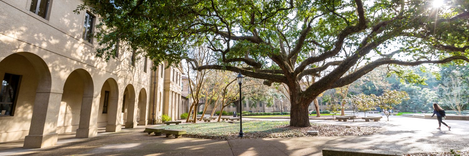 LSU - I/O Psychology Program banner