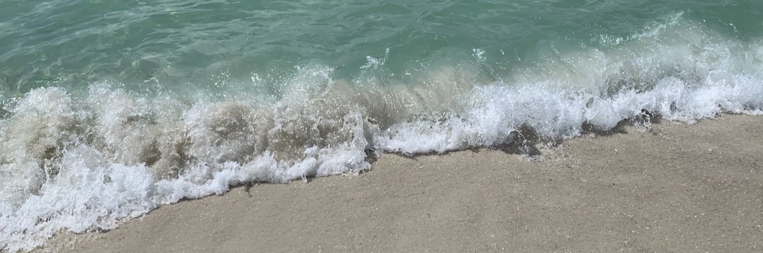 Michael Priest banner