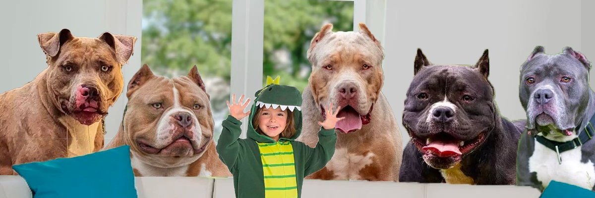 General Ambient - Oscar Nominated banner