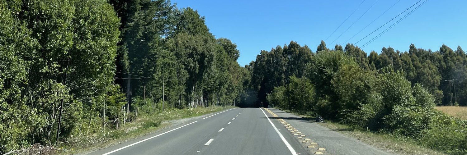 Belén Rodríguez banner