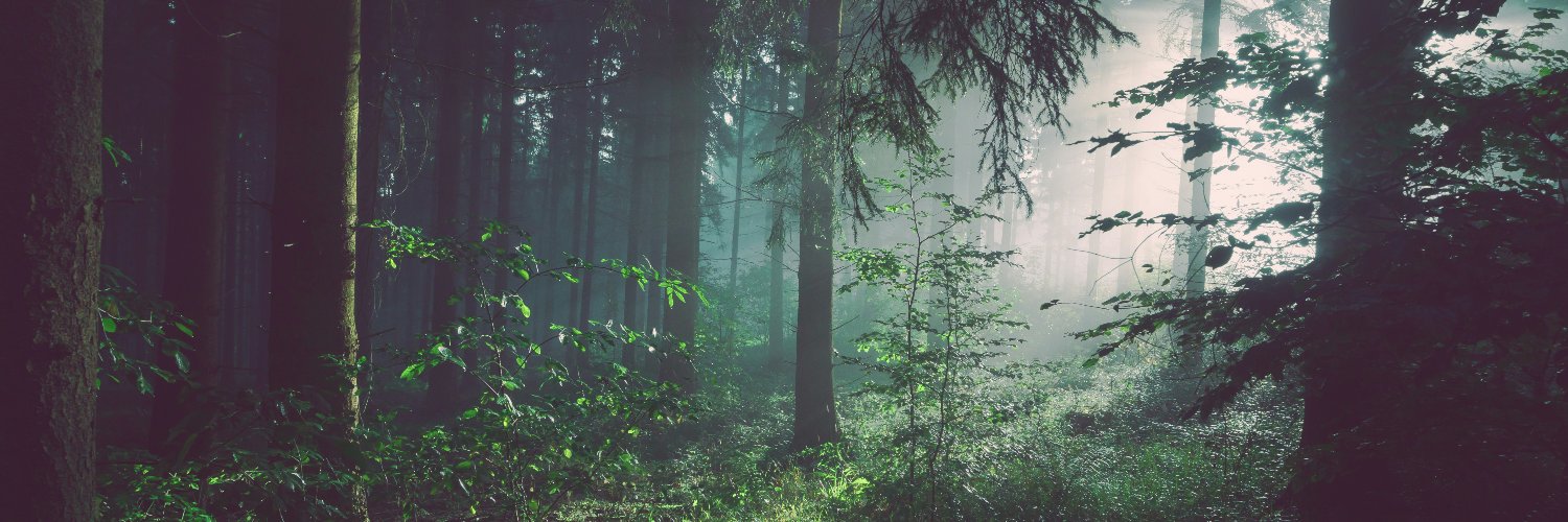 philorien_'s profile banner image