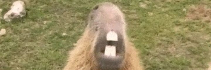 Mauricio Espinosa banner