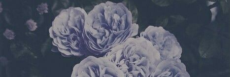 ChrisiMimi's profile banner image