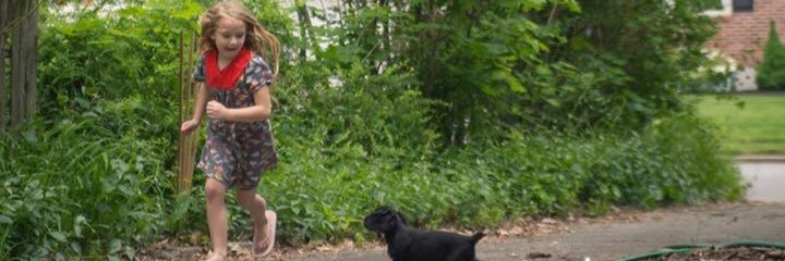 ilaurila's profile banner image