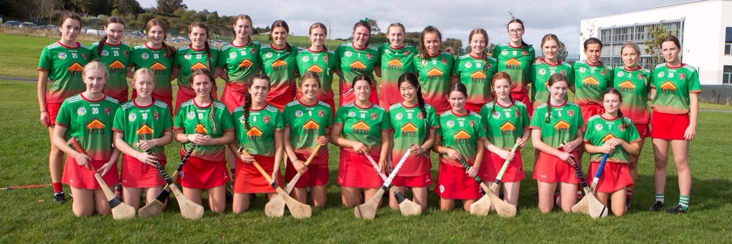 St.Annes Camogie And Ladies Football Club Profile Banner